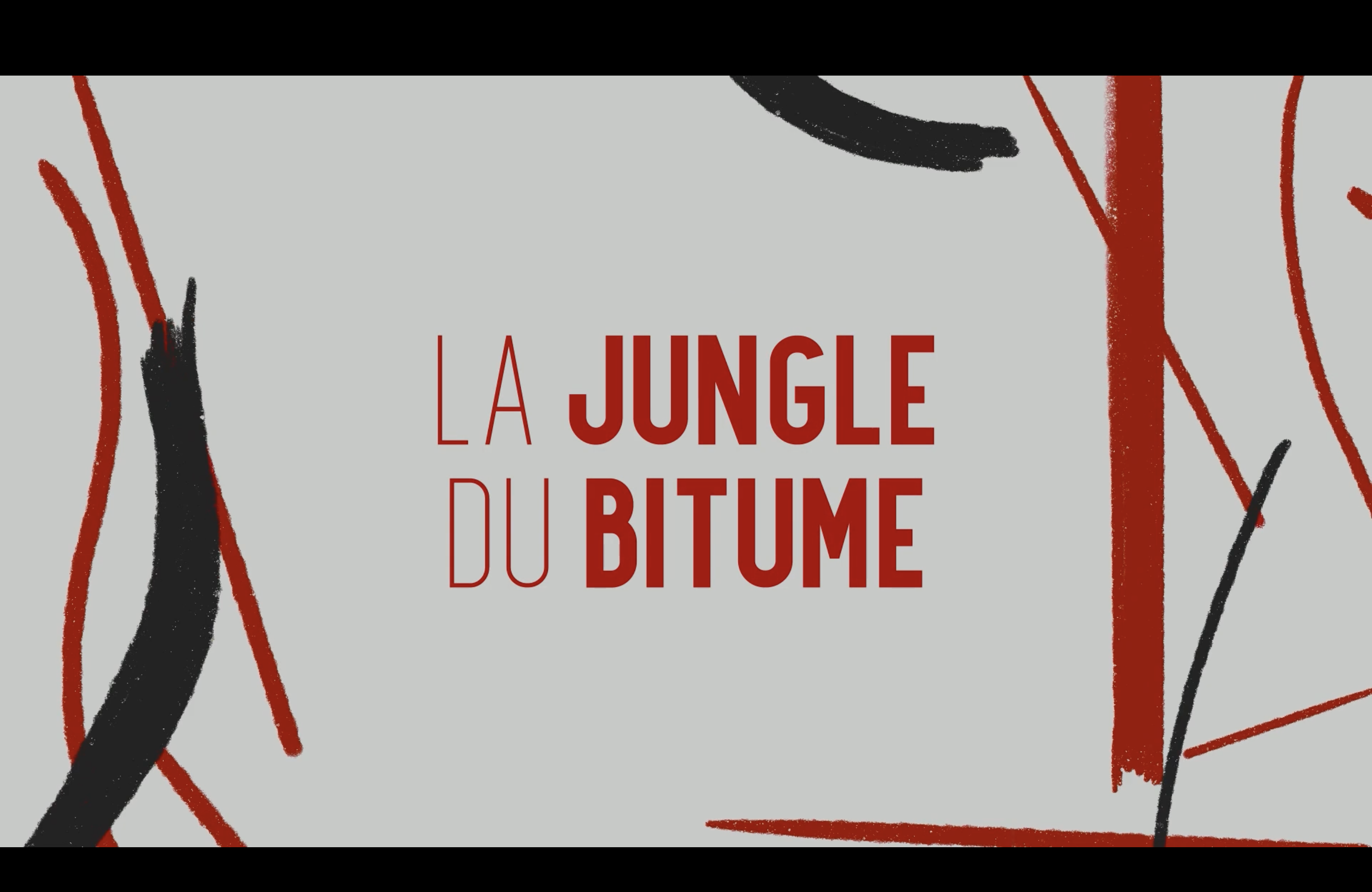 La jungle du bitume